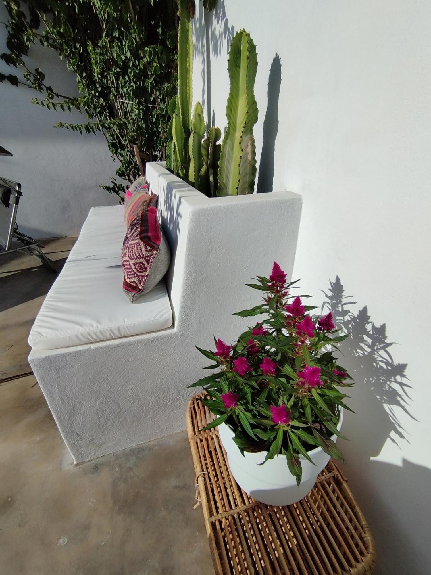 La Alberca Boutique Apartment La Línea de la Concepción エクステリア 写真